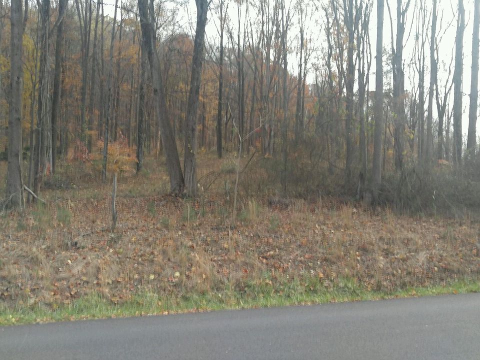 1st image of 0 Chestnut Mountain Dr