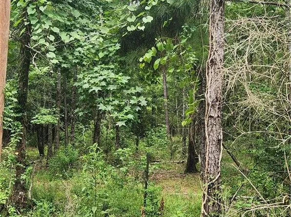 Durbin Rd, Tickfaw, LA 70466