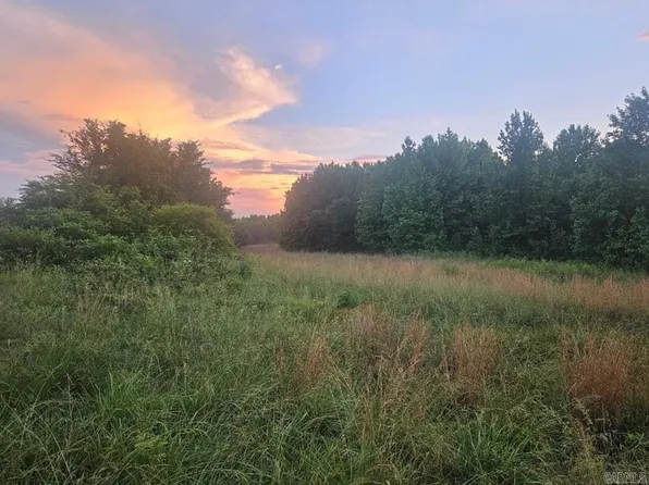 (undisclosed Address), Damascus, AR 72039