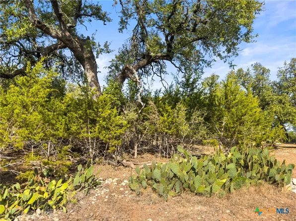 1426 Ledgebrook, Spring Branch, TX 78070