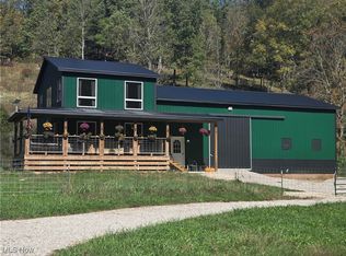 814 Wells Run Rd, Crown City, OH 45623