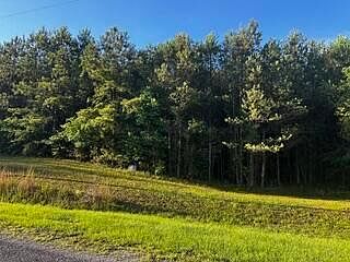 1st image of 139 Sipsey Overlook Rd