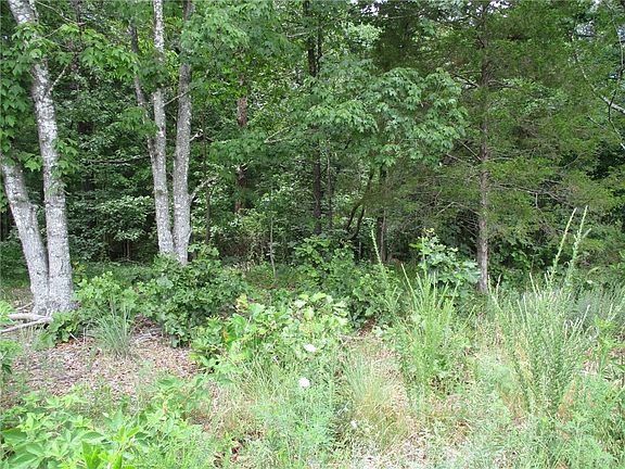2nd image of Hastings Ln #19