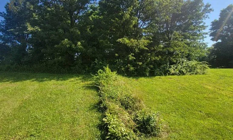 516 Lighthouse Rd — Photo 11