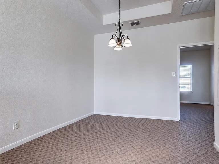 1271 E Common St #1271 — Photo 7