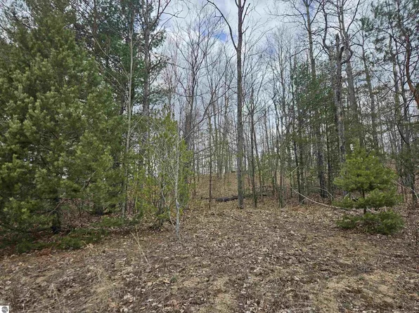 6180 N Greenway Dr, Frederic, MI 49733