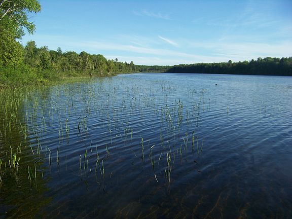 Waterfront view