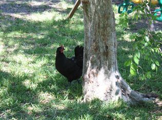 7752 Ehren Cemetery Rd, Land O Lakes, FL 34639