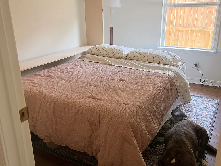424 Palmetto Ct — Photo 18