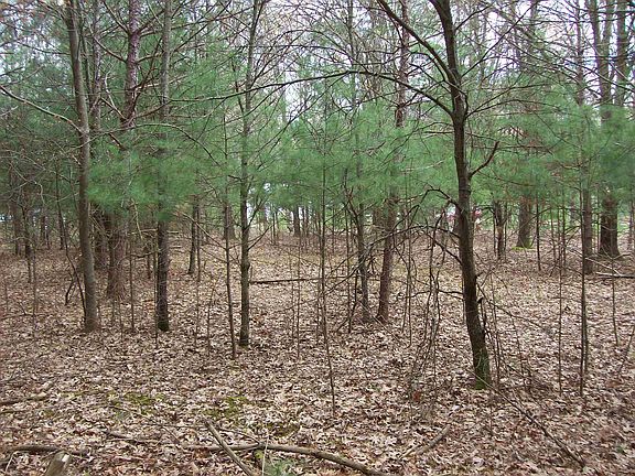 4th image of LOT 3 W Meiller Rd