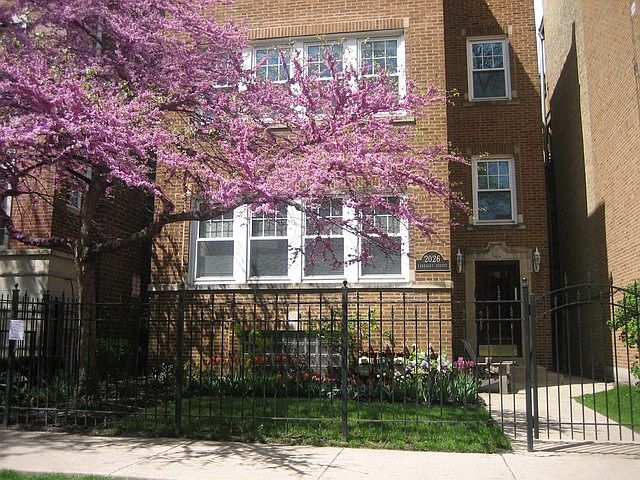 1st image of 2026 W Farragut Ave APT 2