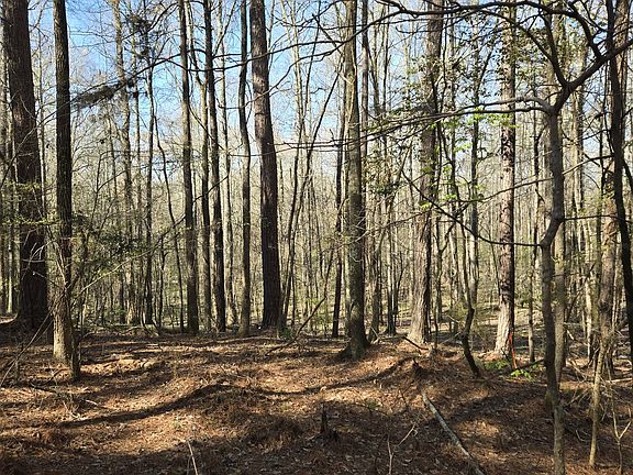 5th image of 1381 Trestle Rd