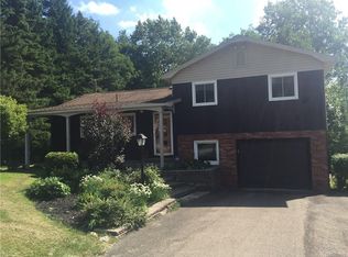 8653 Heath Rd, Colden, NY 14033