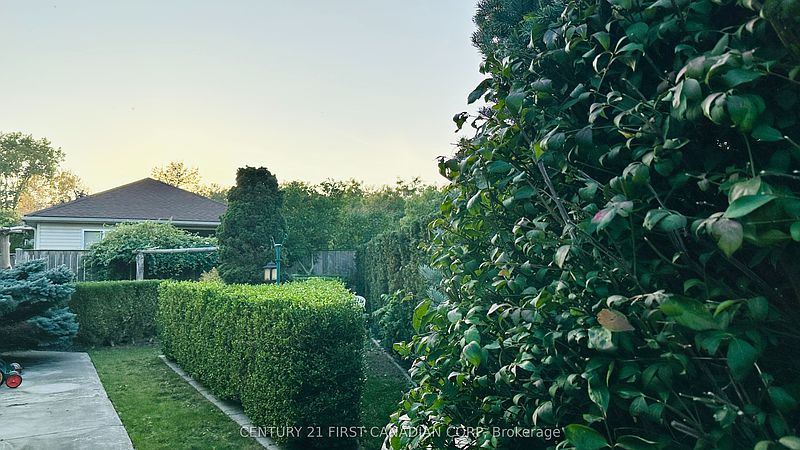 London House for rent - 3 Bedrooms — photo 25