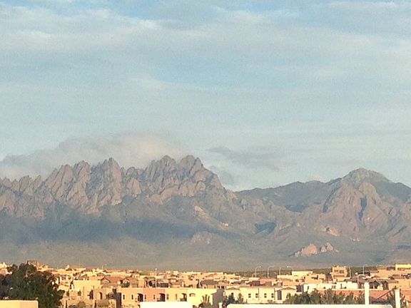 Back yard View