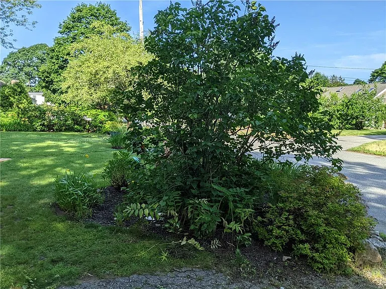 92 Fales Ave — Photo 21