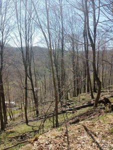 0 Rileys Dr, Bakersville, NC, 28705