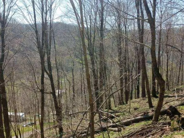 0 Rileys Dr, Bakersville, NC 28705