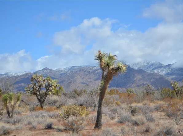 767 Alamo La Cienega Rd, Yucca, AZ 86438