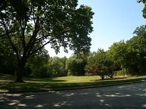 Overlooking Honey Creek Parkway