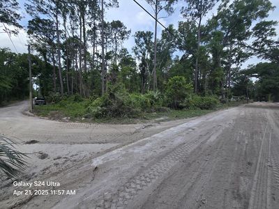 TBD SE 875th St, Old Town, FL, 32680