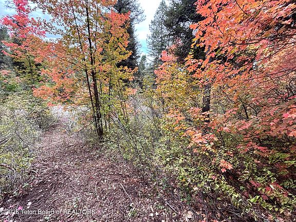 5th image of LOT 60 Cedar Dr