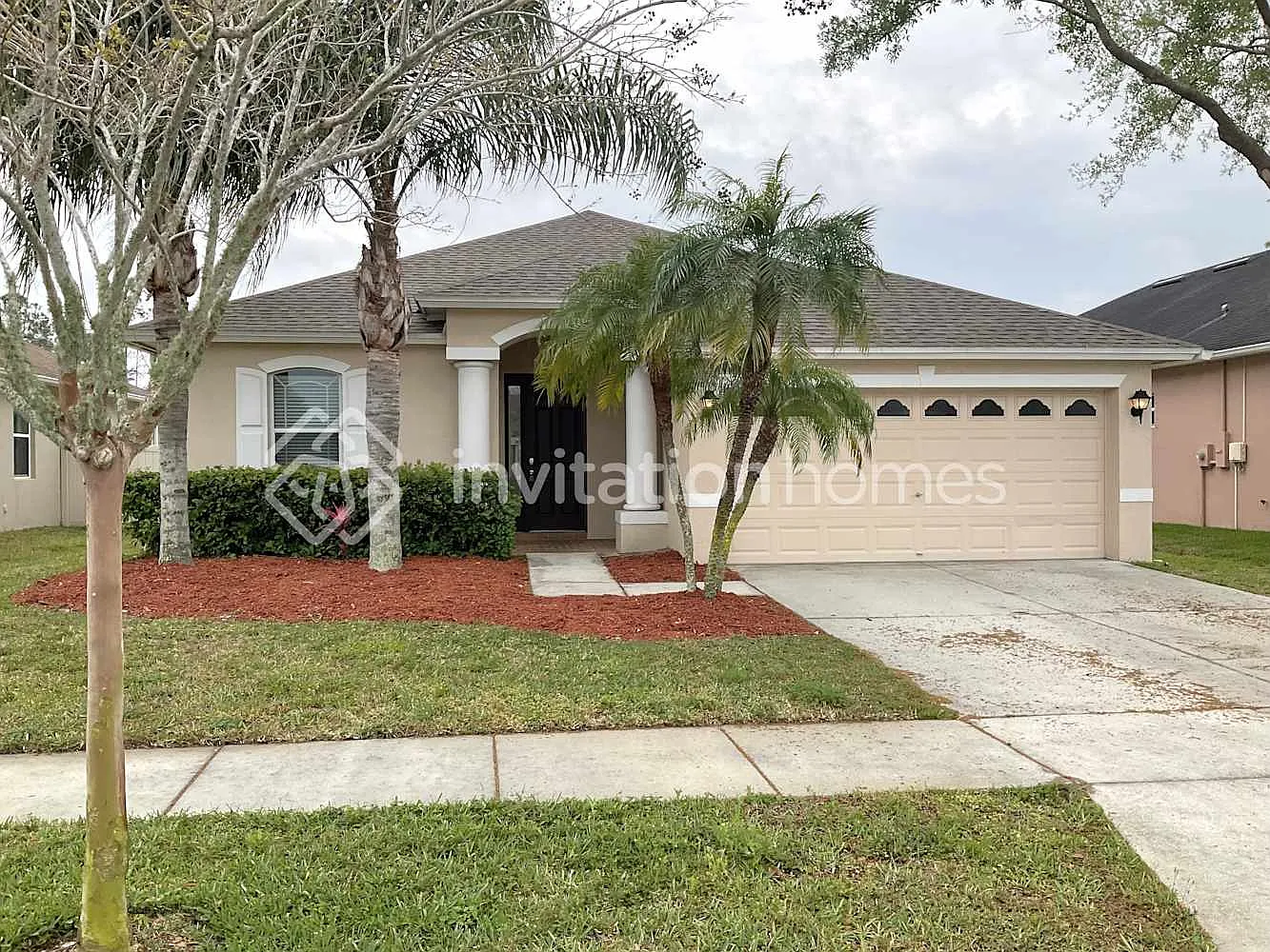20422 Falling Rock Dr Land O Lakes, FL 34638 — Photo 1
