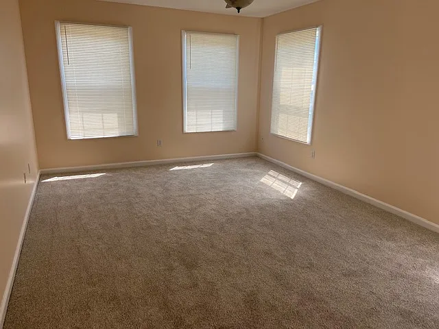 156 Palomino Pass — Photo 11