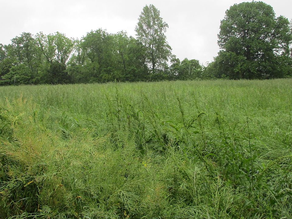 2nd image of 0 Jim Read Rd