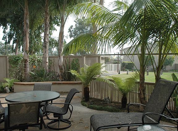 Back Patio with Greenbelt Views
