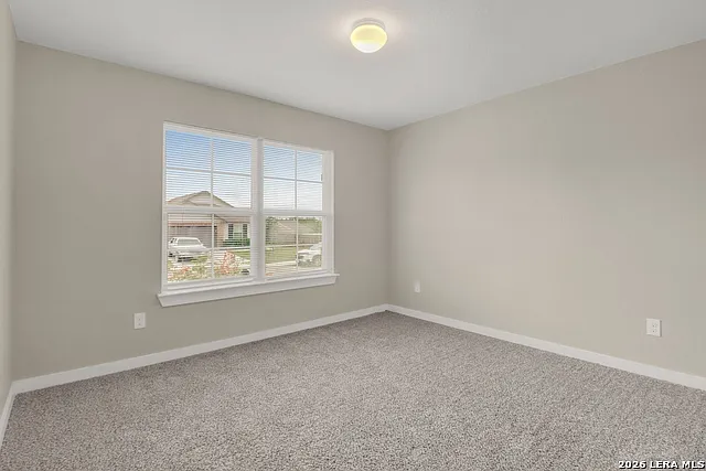 10311 Rosalina Loop — Photo 28