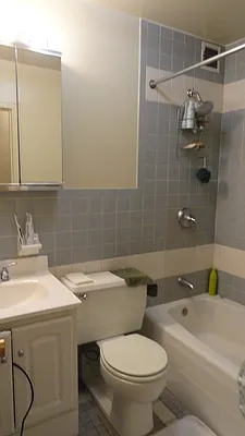 Rented by Manhattan Flats | media 8