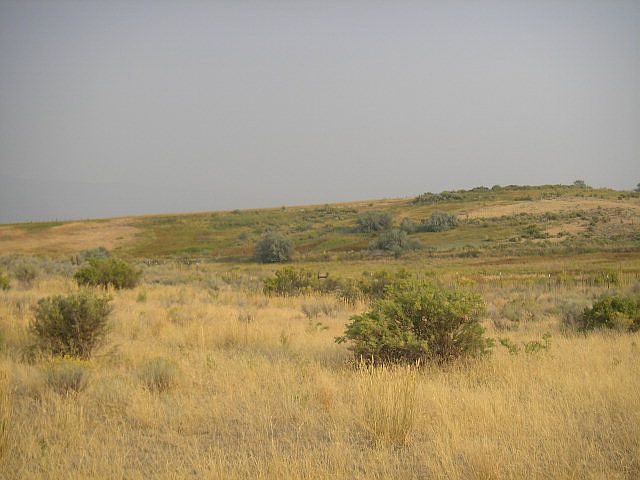2nd image of Pelican Lane
