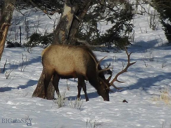 2nd image of 900 Flint Creek Rd