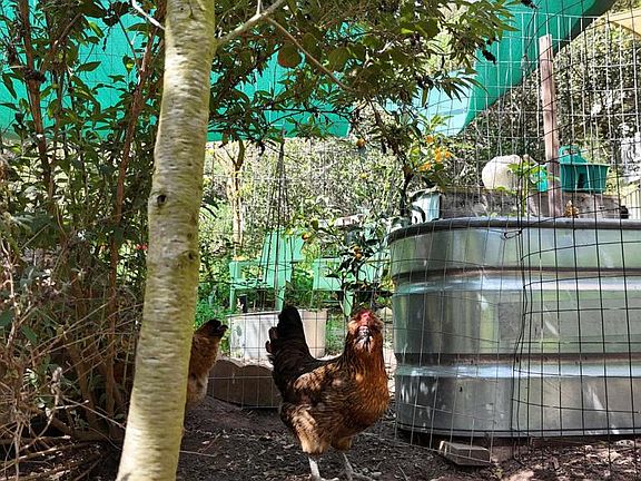 3rd image of 9237 Harmony Grove Rd