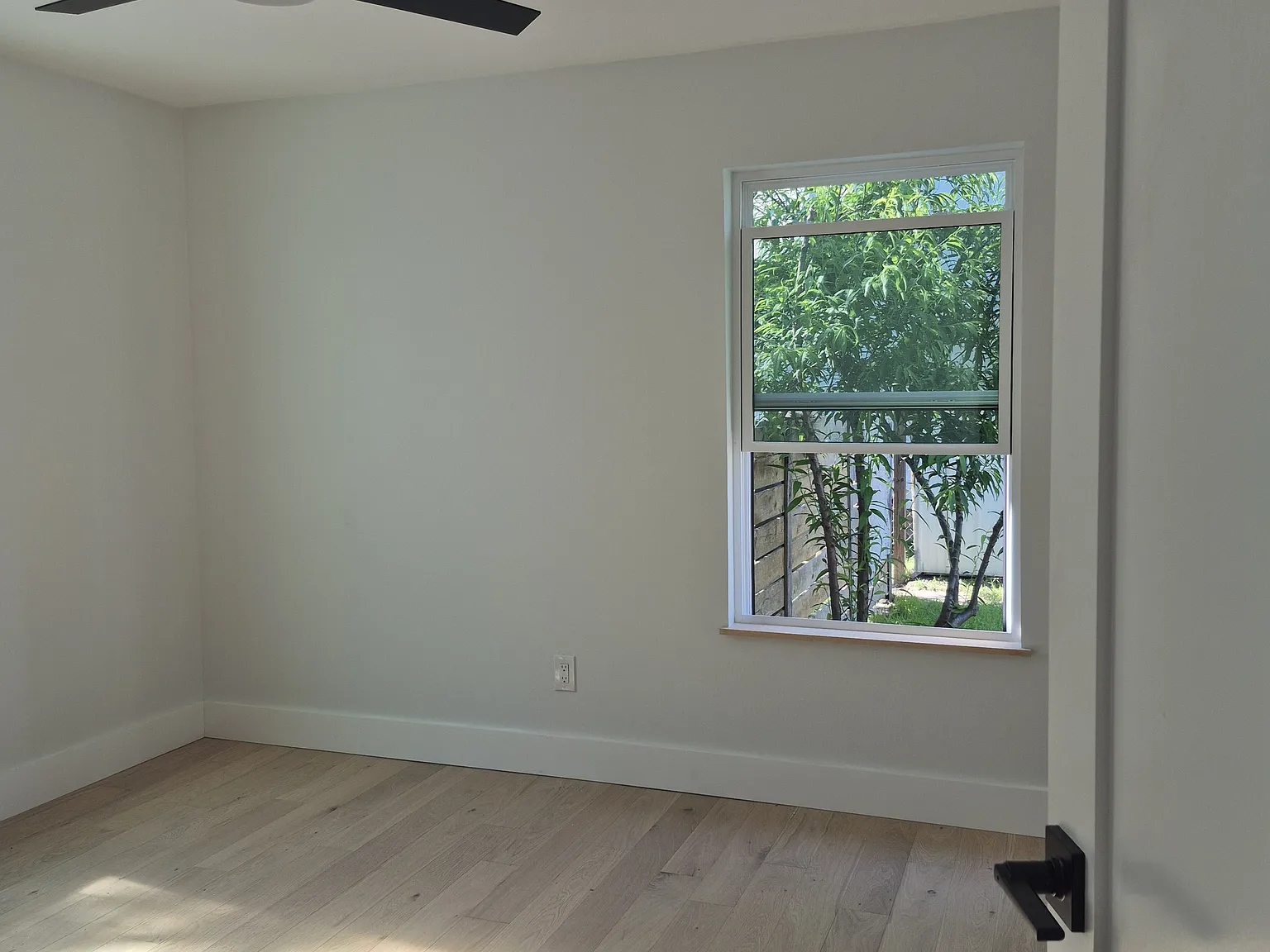 1310 Cometa St — Photo 3