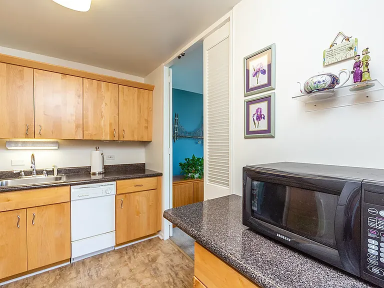 5445 N Sheridan Rd #2110 — Photo 5