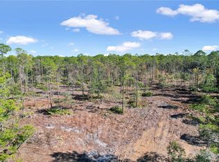 TRACT Four Old State Route Hwy #259, Waynesville, GA 31566