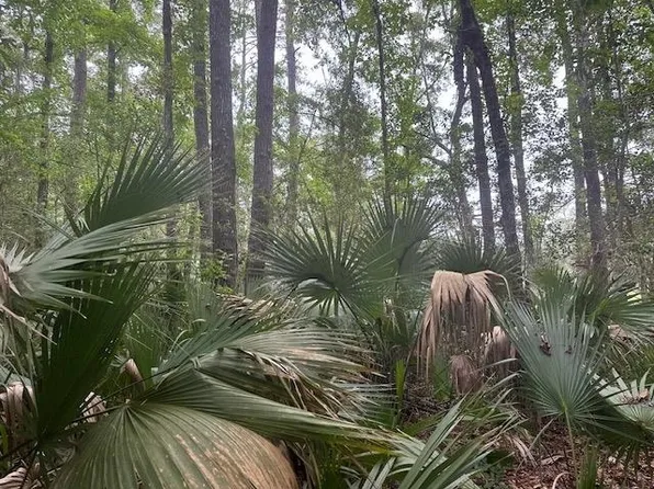 Quail St, Perry, FL 32348