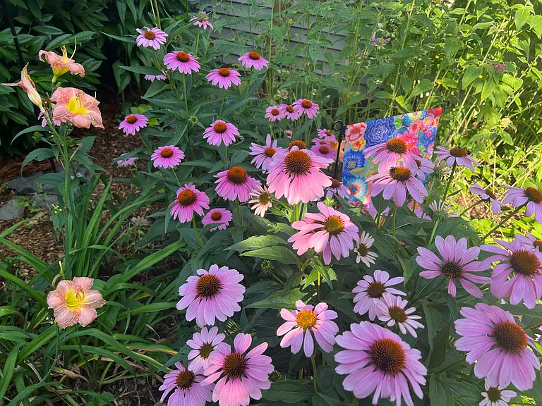 Garden views below.