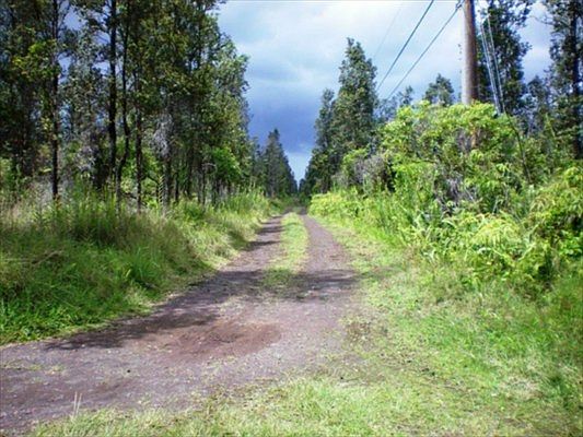2nd image of 7 Road Ope Ape #A