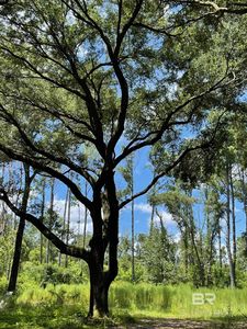 12293 Comalander Rd, Fairhope, AL, 36532