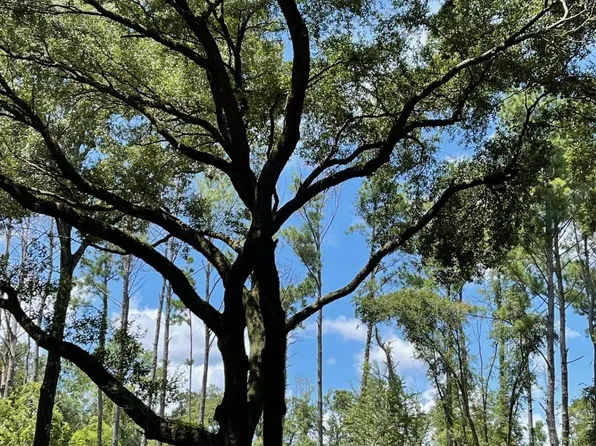 12293 Comalander Rd, Fairhope, AL 36532