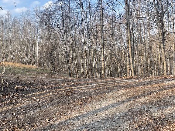 5th image of 0 Sugar Tree Knob Rd Lot 2