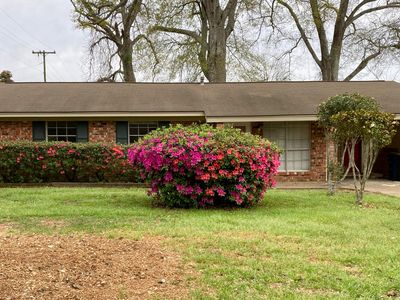 217 Oak Hill Dr, Natchez, MS, 39120