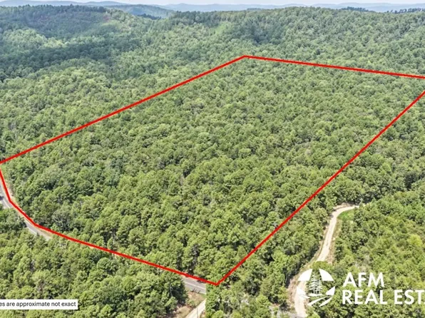 2736 Southfork Rd, Mount Ida, AR 71957