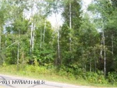 Tbd Scenic Hwy NE, Pennington, MN, 56663