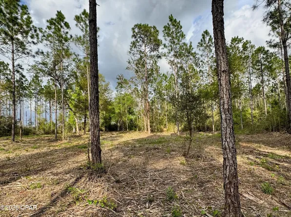 LOT 9 Pleasant Hill Rd, Bonifay, FL 32425