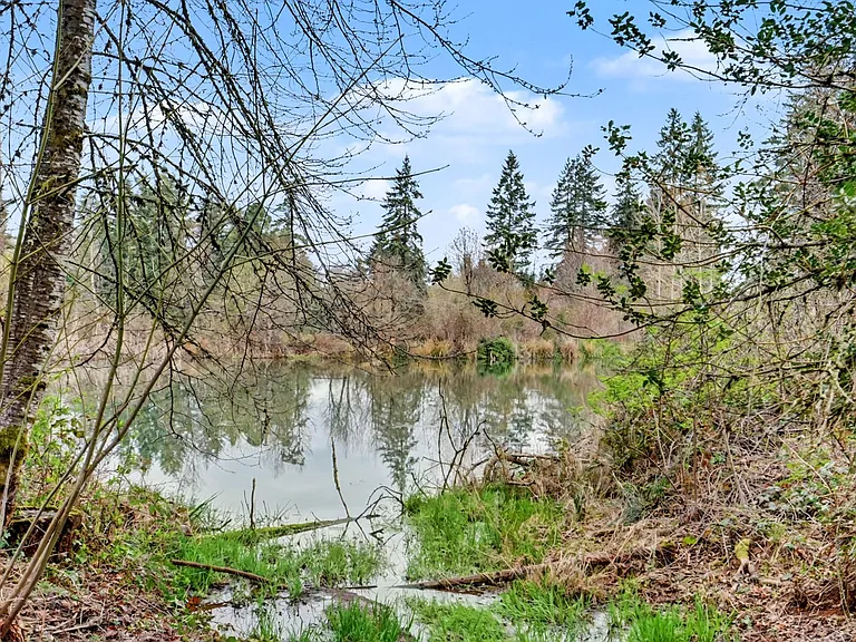 The Apartments at Cinnamon Lakes — Photo 42