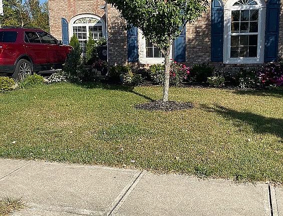 4th image of 8077 Lawrence Woods Blvd